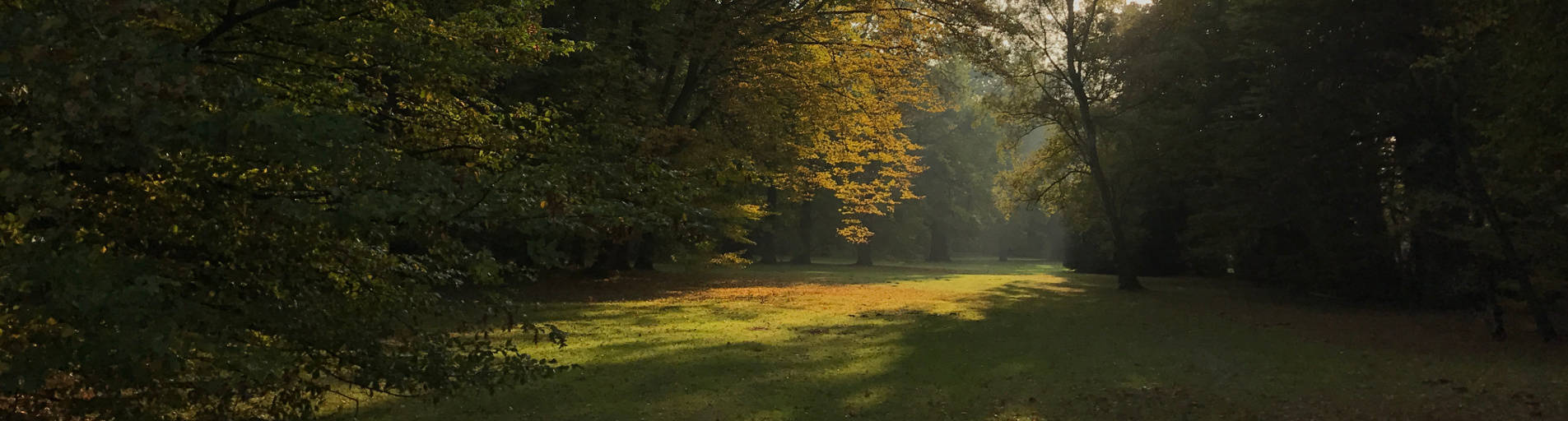 Herbst slide